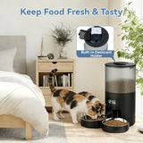 Smart Dual-Bowl Automatic Pet Feeder - 6 L, App Control
