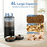 Smart Dual-Bowl Automatic Pet Feeder - 6 L, App Control